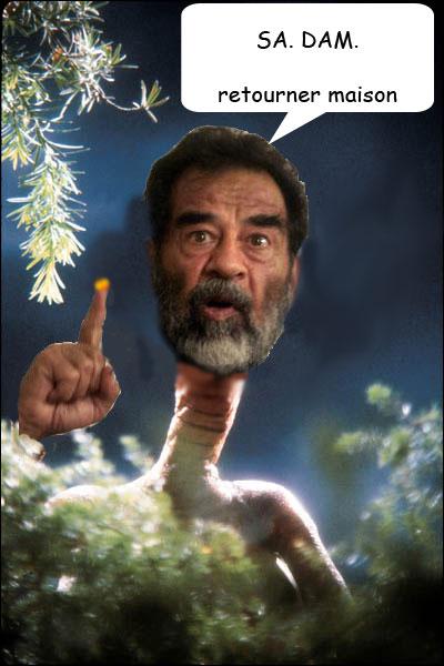 sadam